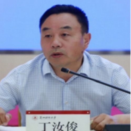 丁汝俊
