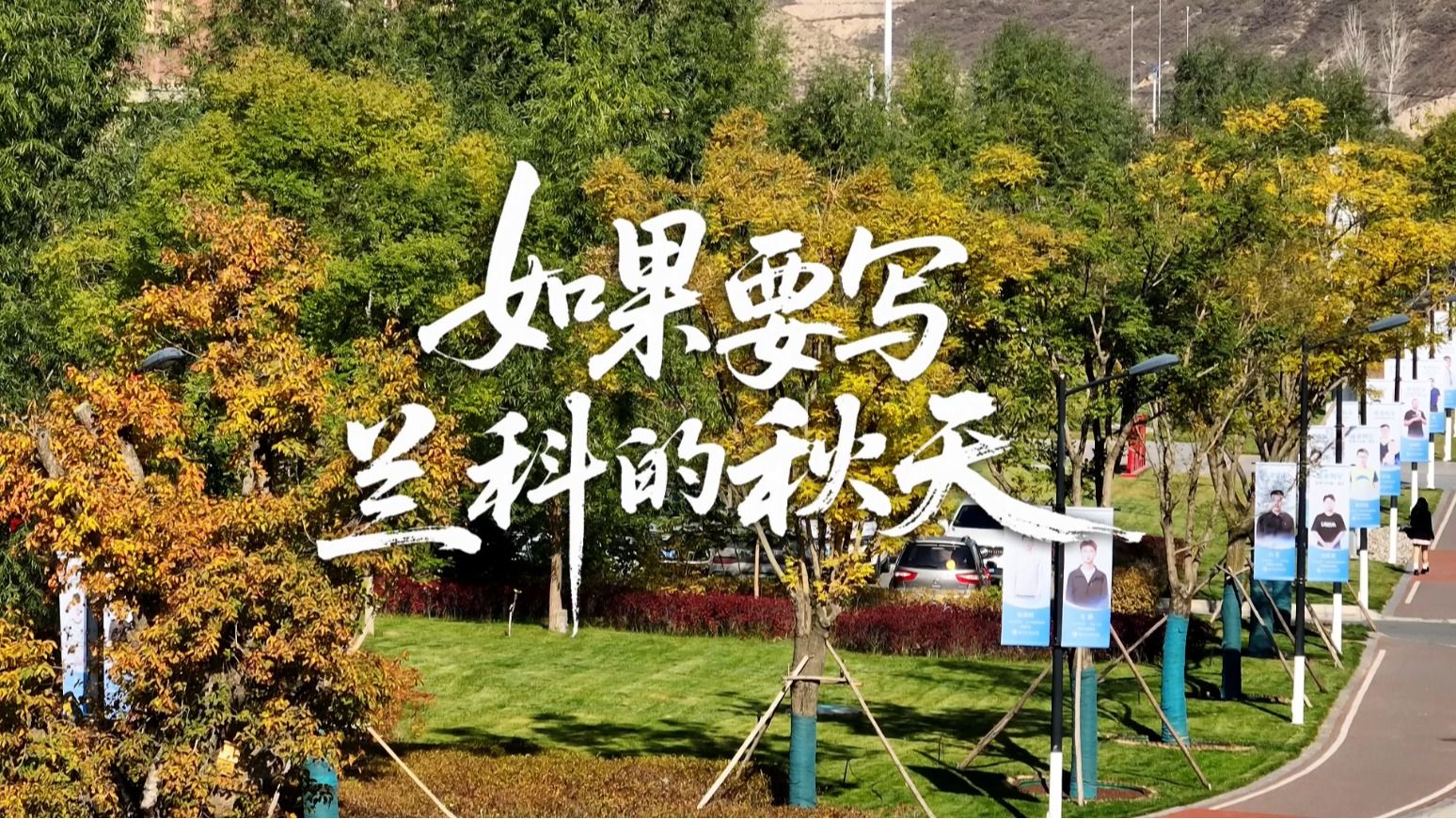 【秋日兰科】如果要写兰科的秋天